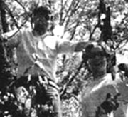 m_mgrove.jpg (10653 bytes)