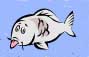 cfish.jpg (2278 bytes)