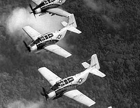 skyr_2.jpg (16117 bytes)