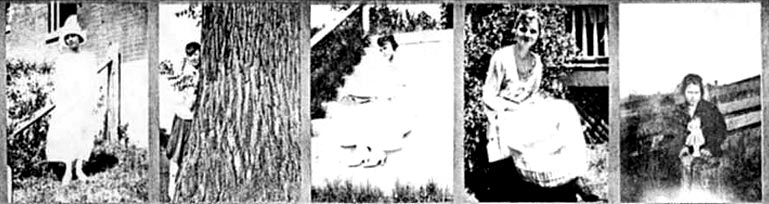 who1.jpg (44339 bytes)
