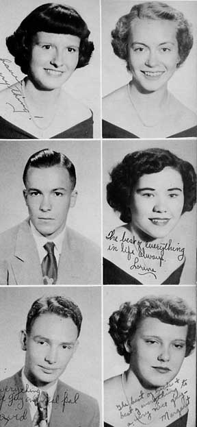 senpic3.jpg (26814 bytes)