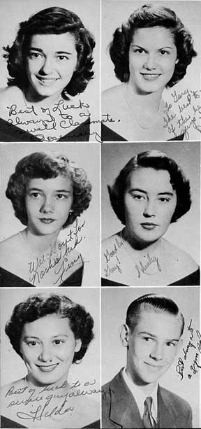 senpic8.jpg (32523 bytes)