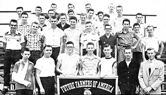 56ffa.jpg (38797 bytes)